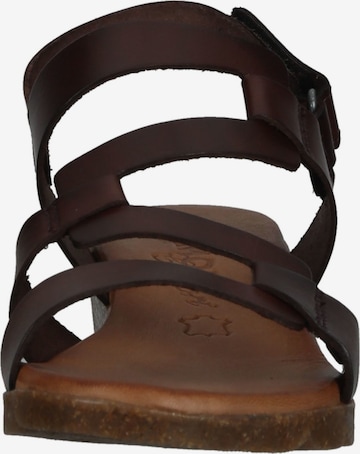 COSMOS COMFORT Sandalen met riem in Bruin