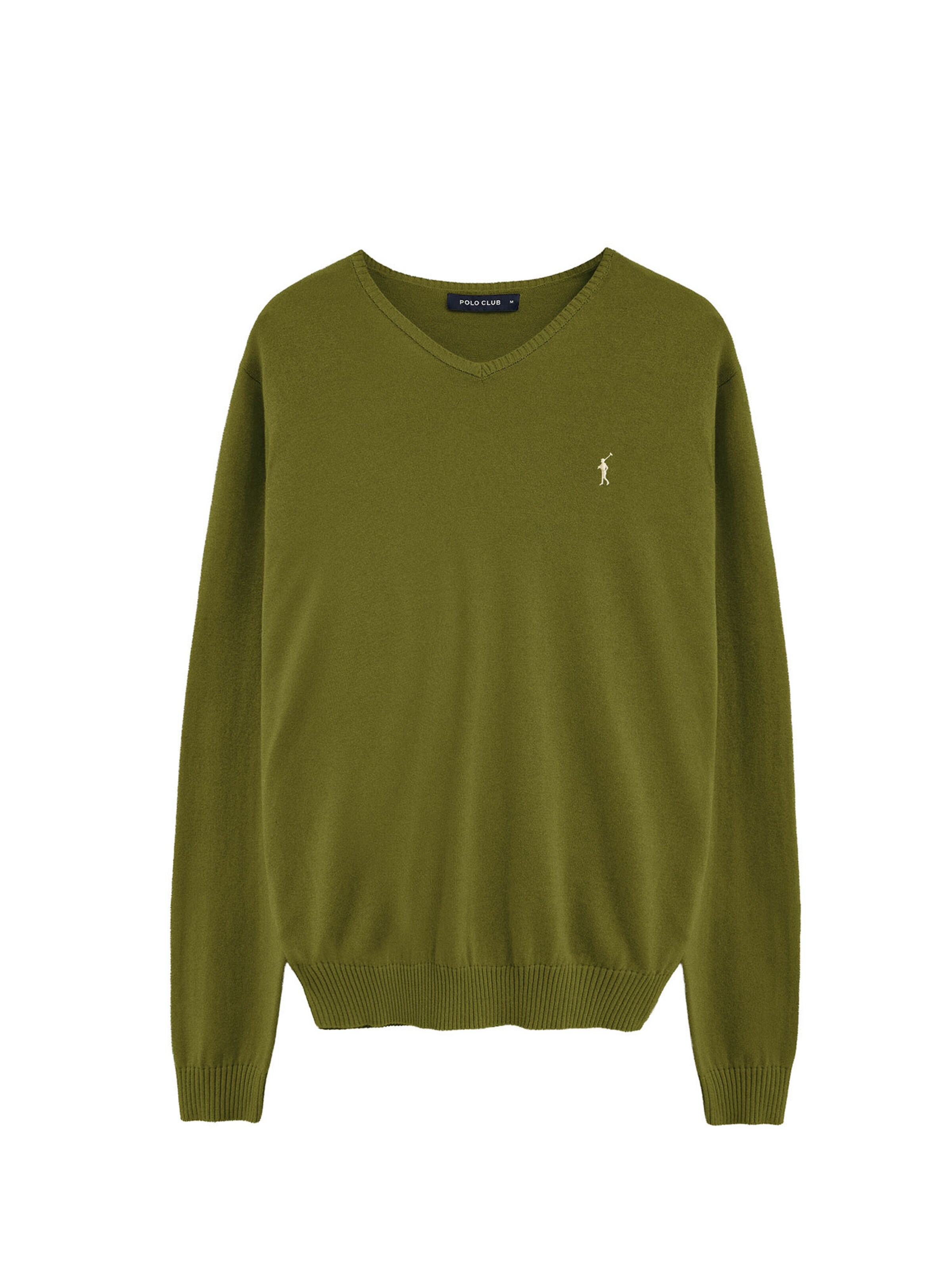 Polo Club Pullover 'Rigby Go' in Grün: Vorderseite