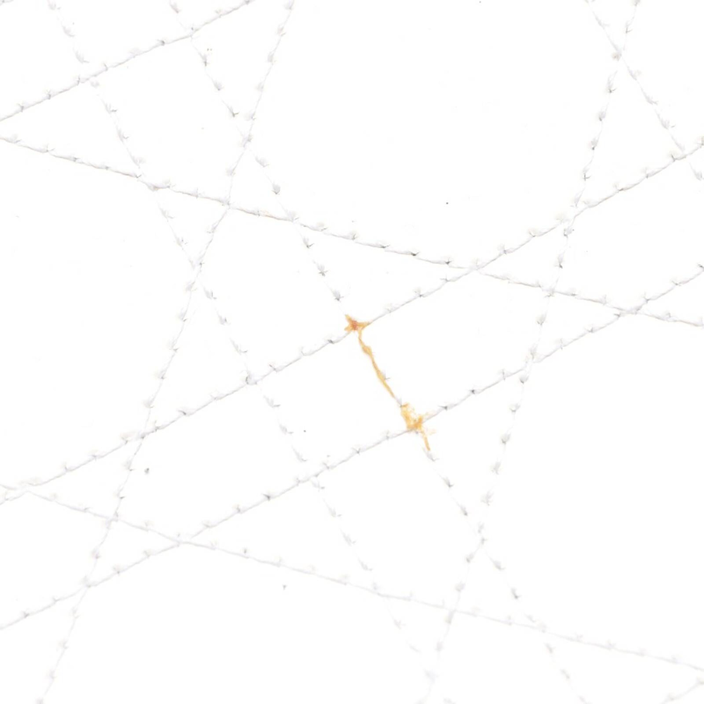 Dior Bag in One size in White