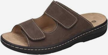 DR. BRINKMANN Mules in Brown: front