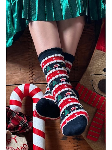 Chaussettes 'EIRAL striped cotton Christmas socks' Sokisahtel en mélange de couleurs : devant