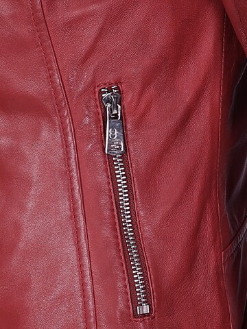 JCC Tussenjas ' 31025193 ' in Rood