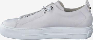 Paul Green Sneakers in White