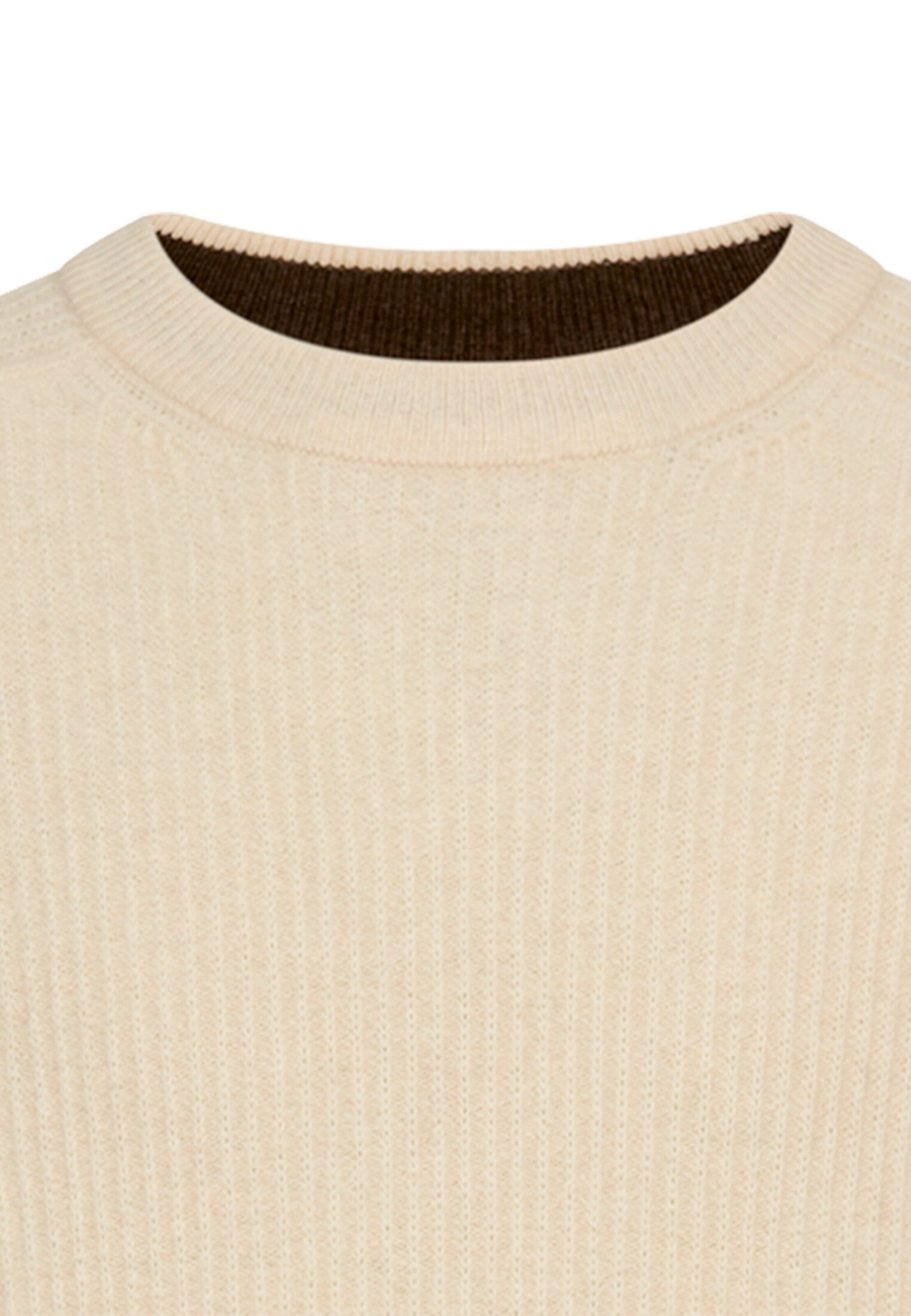 CAMEL ACTIVE Sweater in Beige
