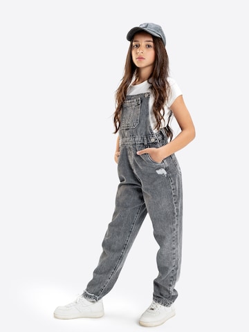 Solang Overall in Grijs