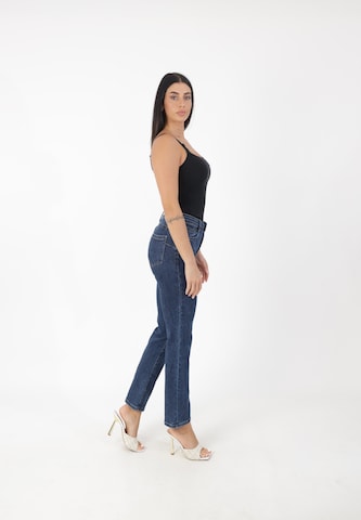 Elara Flared Jeans in Blue