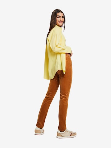 ESPRIT Regular Broek in Bruin