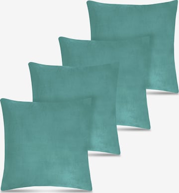 Coussins Aspero en bleu : devant