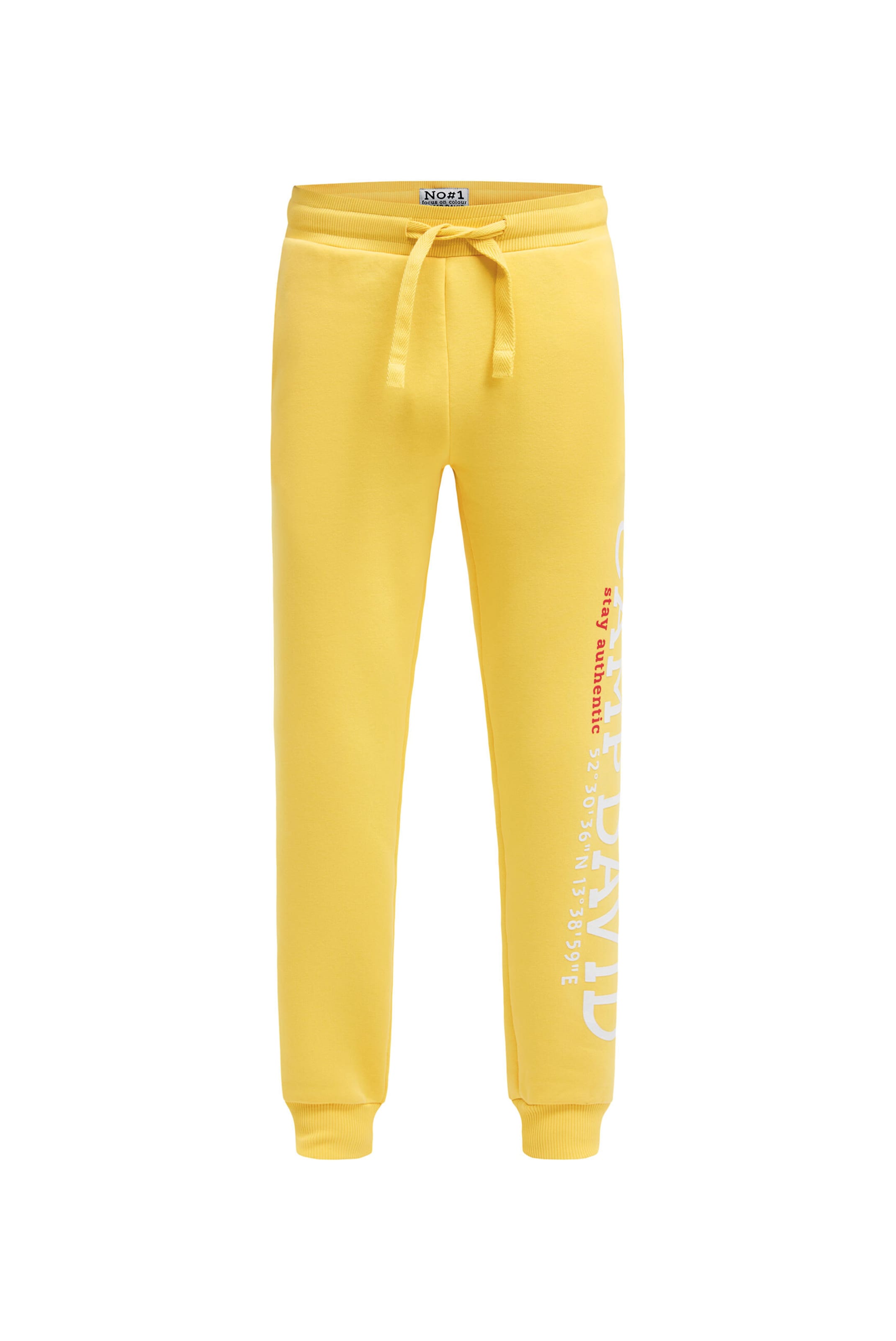 CAMP DAVID Regular Pants in Yellow: front