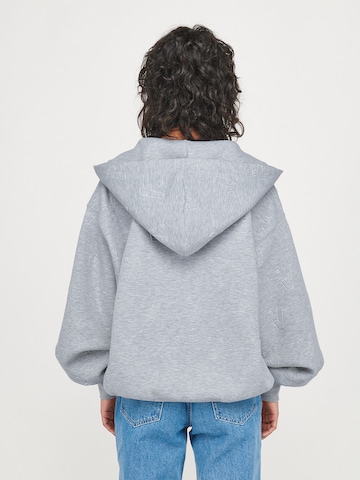 ABOUT YOU x VIAM Studio Zip-Up Hoodie 'No Limit' in Grey: back