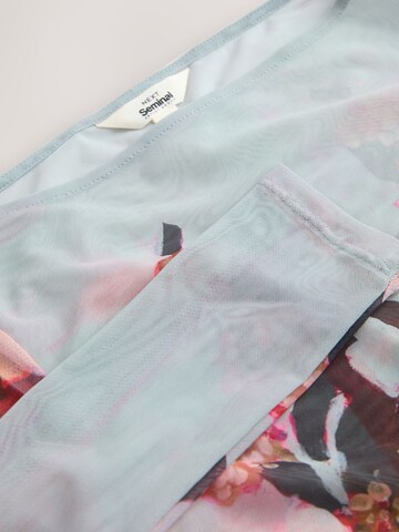 T-shirt 'Kew Collection' Next en mélange de couleurs