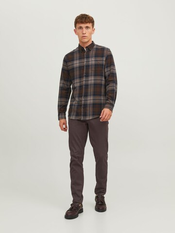 JACK & JONES Regular Chino 'Marco Dave' in Bruin