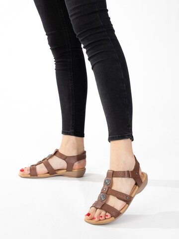 Minnetonka Sandals 'Sonya' in Brown