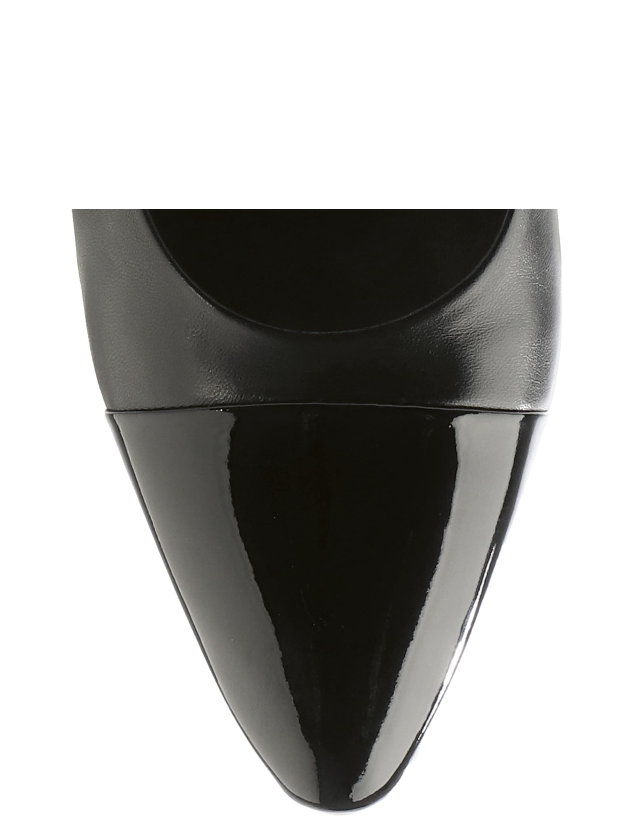 Högl Pumps ' MELODY' in Zwart