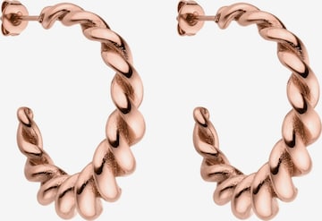 PURELEI Ohrringe 'Twisted' in Gold: Vorderseite