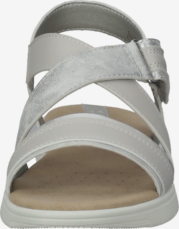 GEOX Sandals in Grey