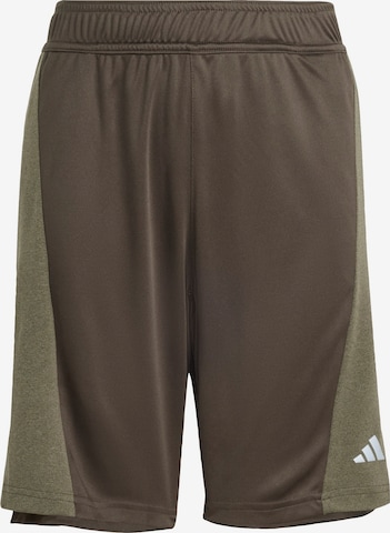 ADIDAS SPORTSWEAR Sportbroek in Groen: voorkant