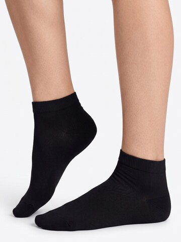 footstar Socks 'EVERYDAY!' in Black