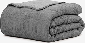 Barine Baby Blanket 'Koza' in Grey: front