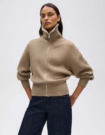 OPUS Knit cardigan 'Dodesa' in Brown: front