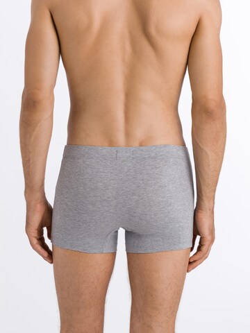 Hanro Boxer shorts ' Cotton Essentials ' in Grey