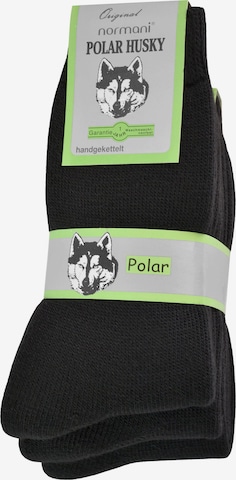 Polar Husky Socks in Black