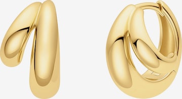 ANIA HAIE Earrings in Gold: front