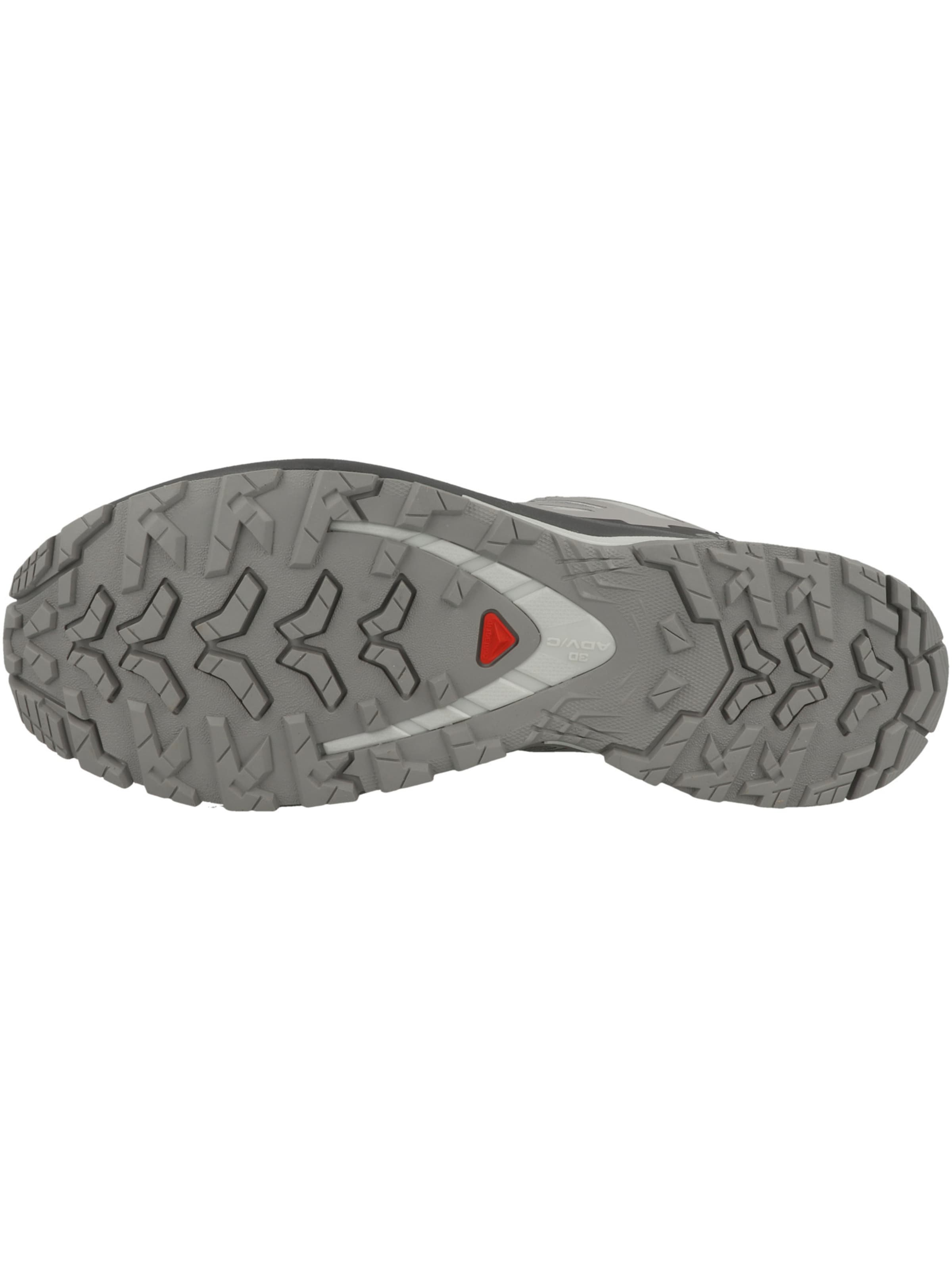 Chaussure basse 'XA Pro 3D V9' SALOMON en gris : en bas