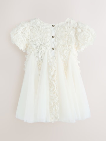 Baker by Ted Baker Jurk in Beige