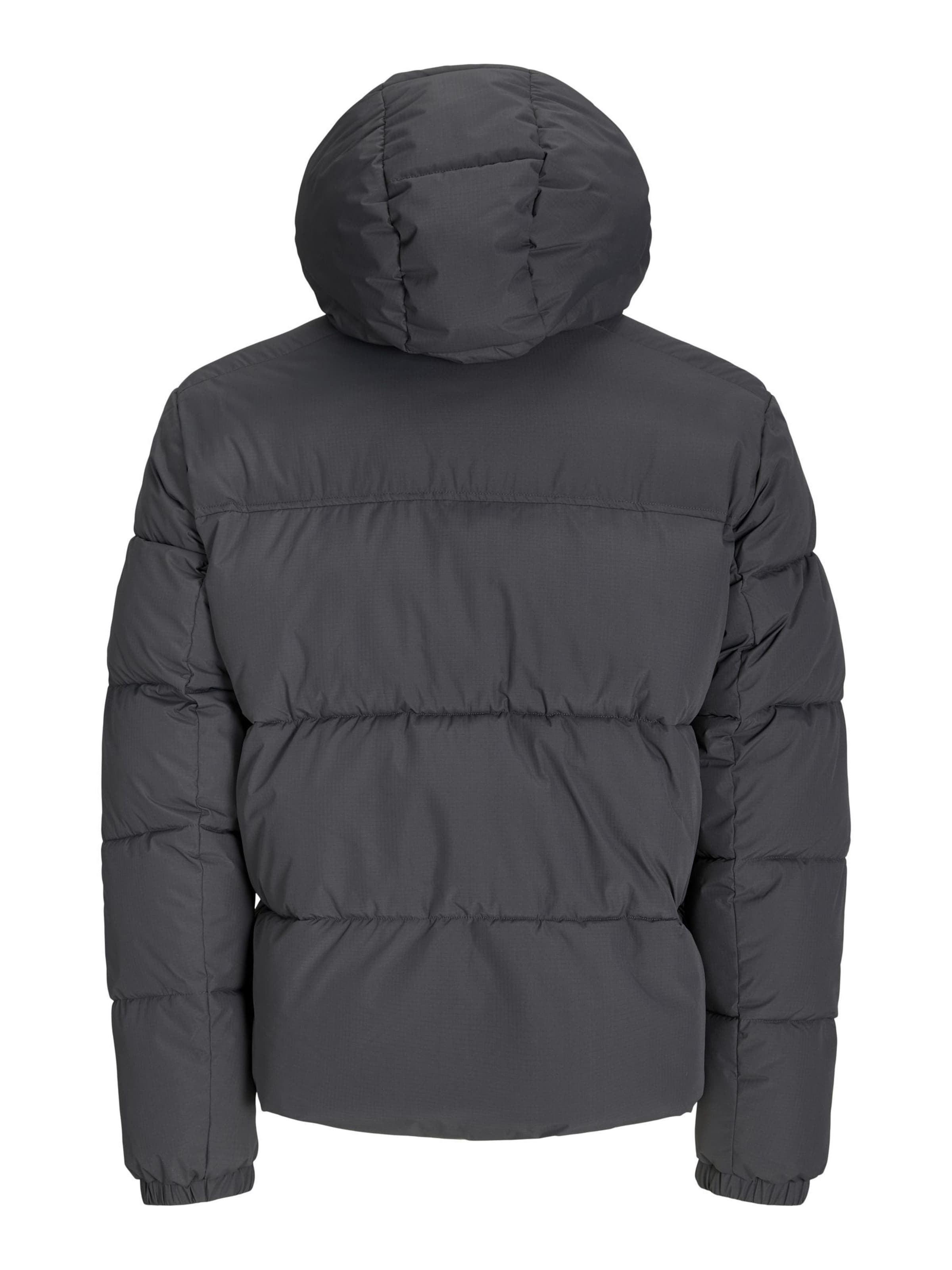 Geacă de iarnă de la aprel pe gri