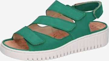 WALDLÄUFER Sandals in Green: front