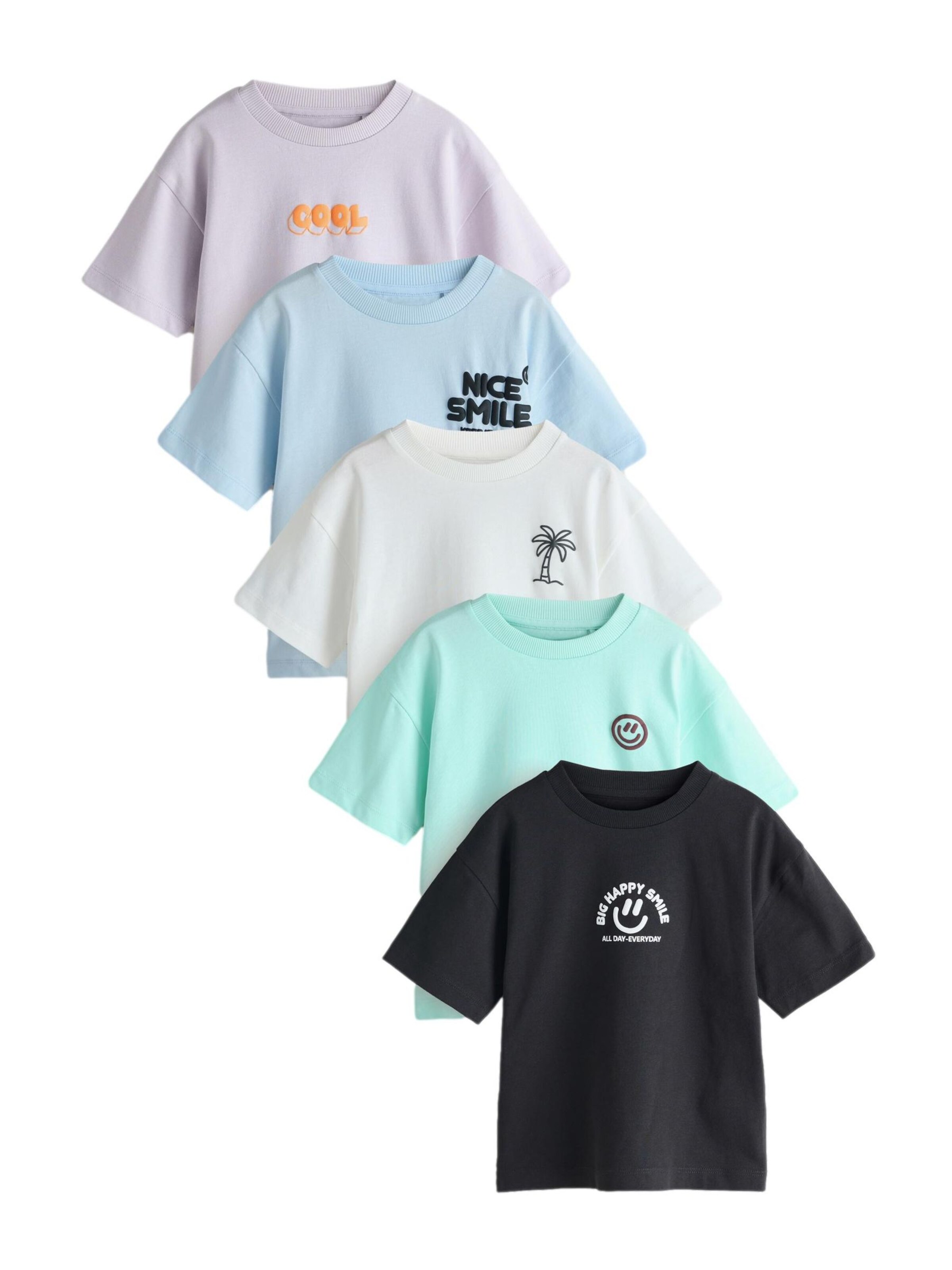 Next Shirt in Mixed colours: front