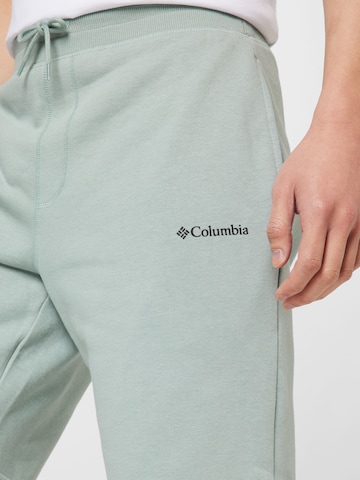 regular Pantaloni di COLUMBIA in verde