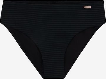 PROTEST Bikini Bottoms 'MIXActions' in Black: front