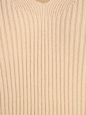 Dorothy Perkins Petite Sweater in Beige