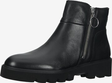 PIKOLINOS Ankle Boots 'Salamanca' in Black: front