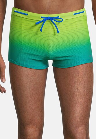 BECO the world of aquasports Swim Trunks 'GRADIENT DOTS' in Green