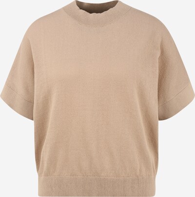 Selected Femme (Petite) Pull-over 'SLFMAJA' en beige, Vue avec produit