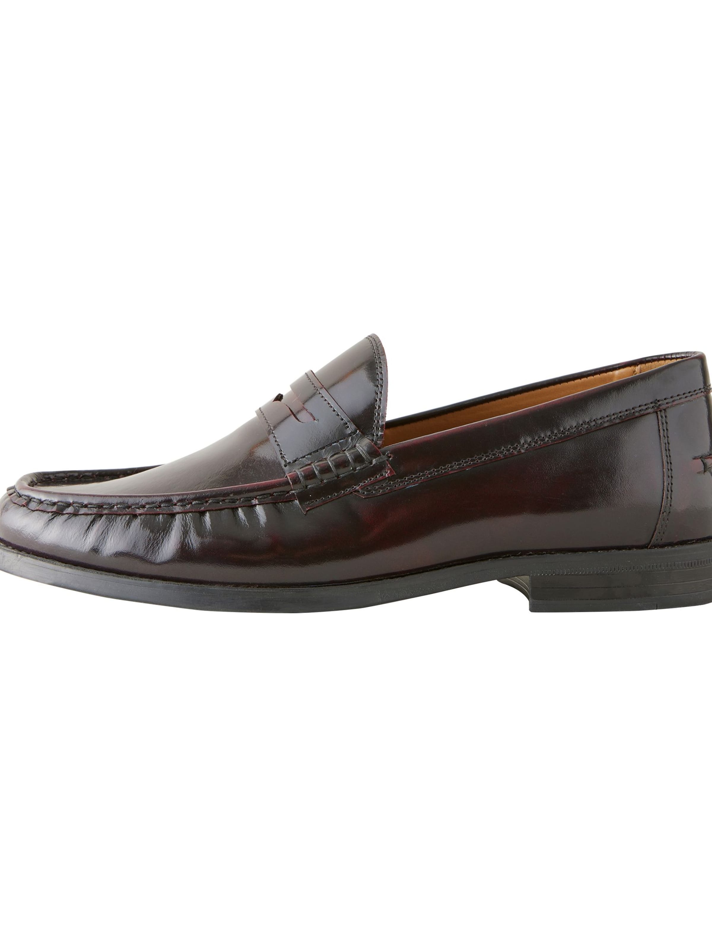 Next Instappers in Bruin: voorkant