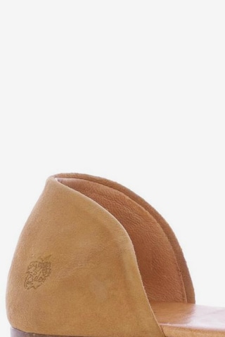 Apple of Eden Sandals & High-Heeled Sandals in 36 in Brown