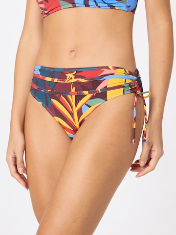 LingaDore Bikini Bottoms in Mixed colors: front