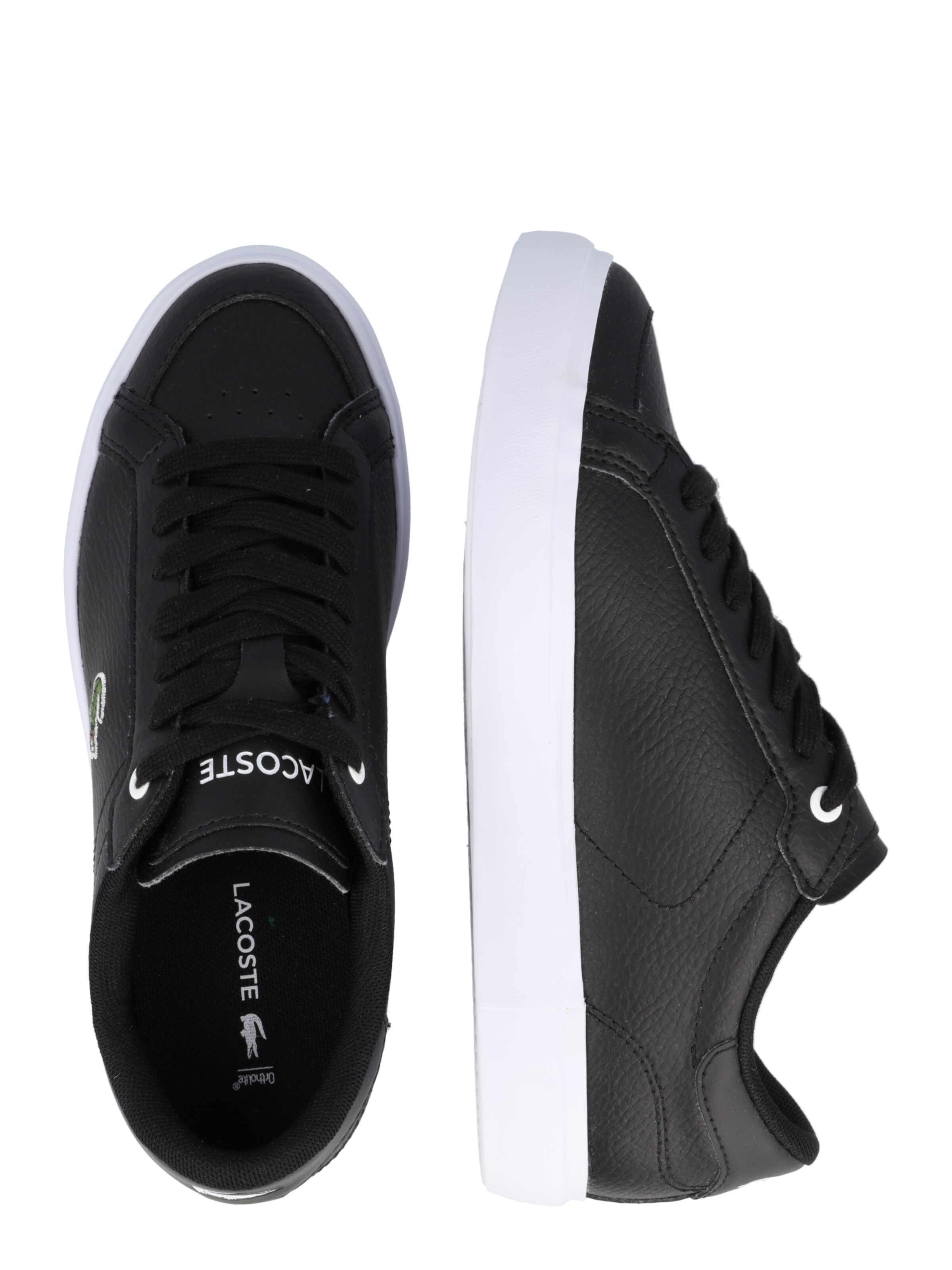 LACOSTE Sneakers in Black