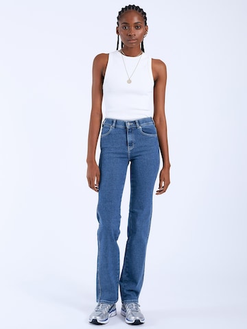 Dr. Denim Skinny Jeans 'Lexy Straight' in Blue