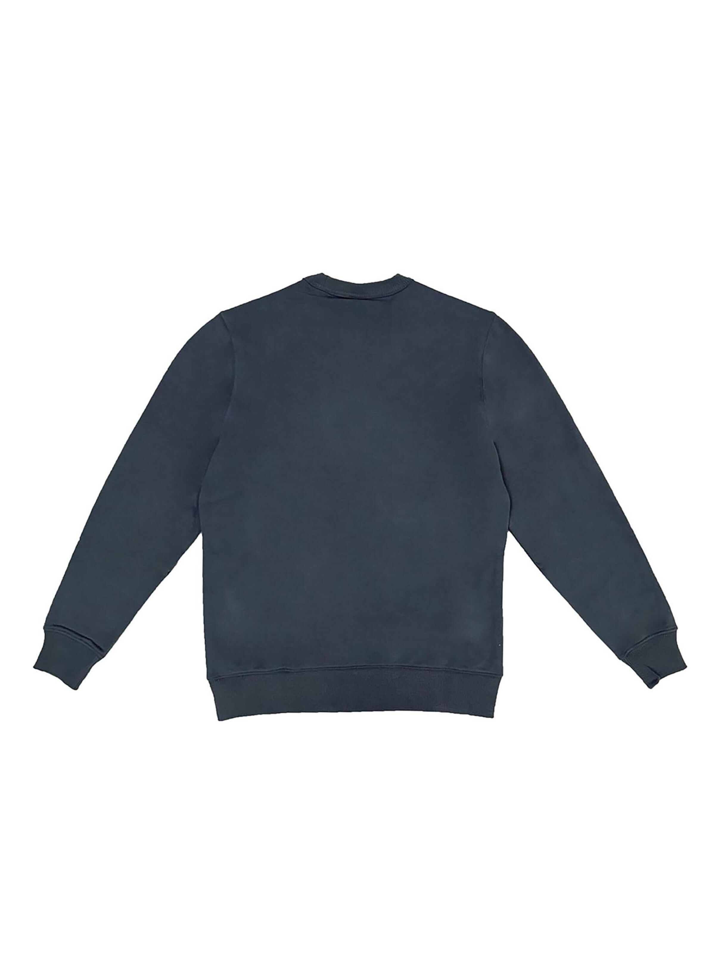 DICKIES Sweatshirt 'Aitkin'‌‌‌‌‌‌‌‌‌‌ in Grün