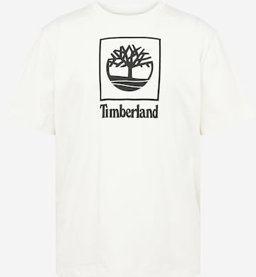 T-Shirt TIMBERLAND en blanc : devant