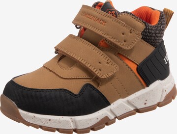 Lumberjack Sneakers in Brown: front