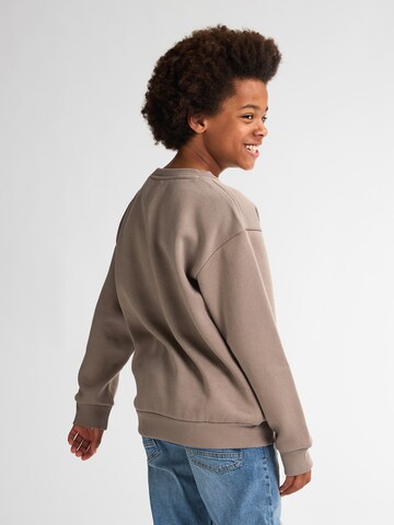Petrol Industries Sweatshirt 'Adirondack' in Bruin