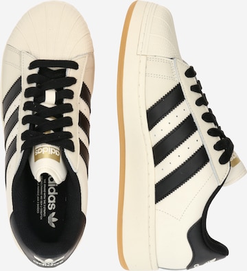 Baskets basses 'SUPERSTAR XLG' ADIDAS ORIGINALS en blanc