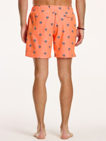 Shiwi Zwemshorts in Oranje