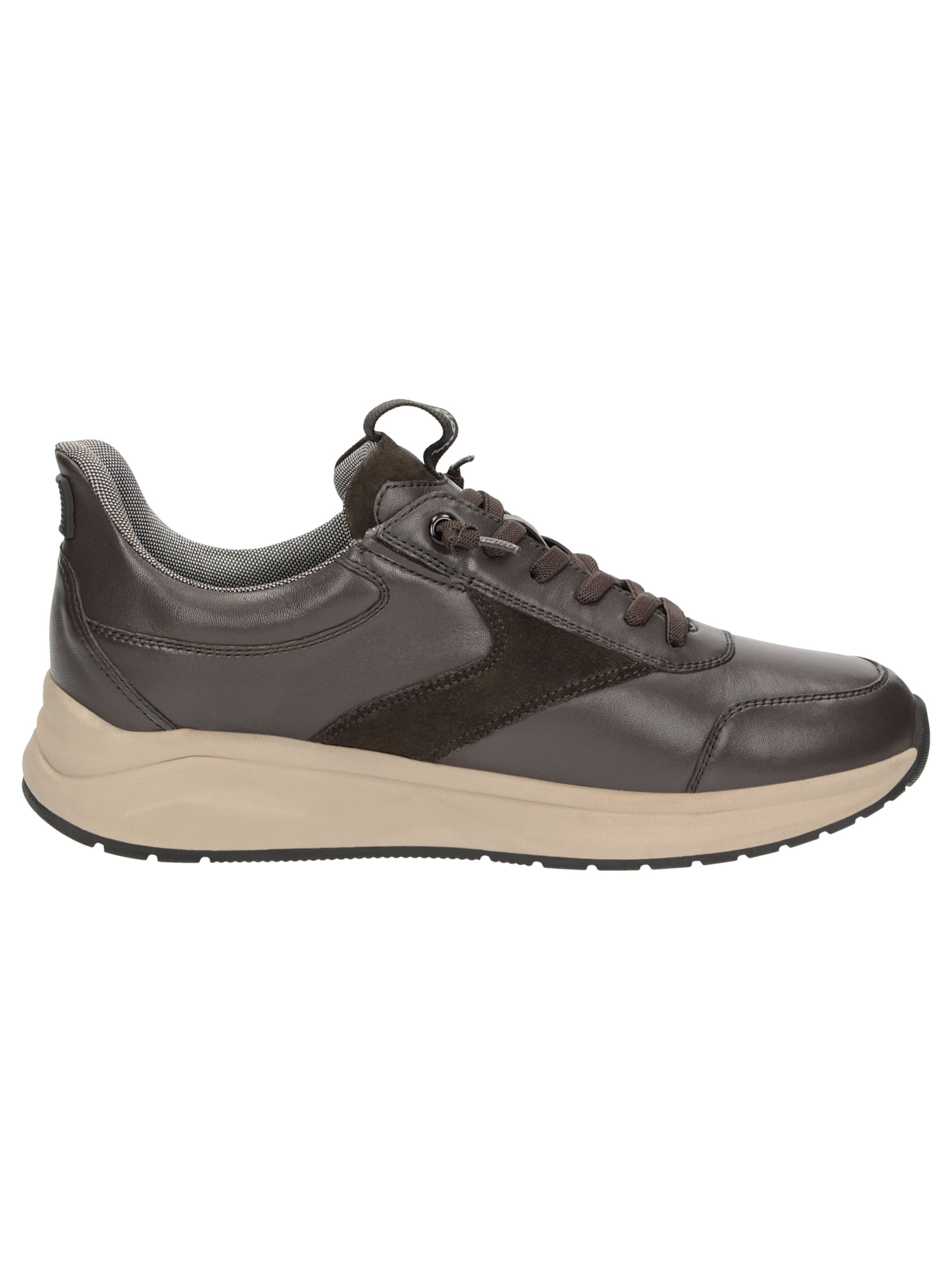 SIOUX Sneakers laag ' Tasulio-703-J ' in Bruin